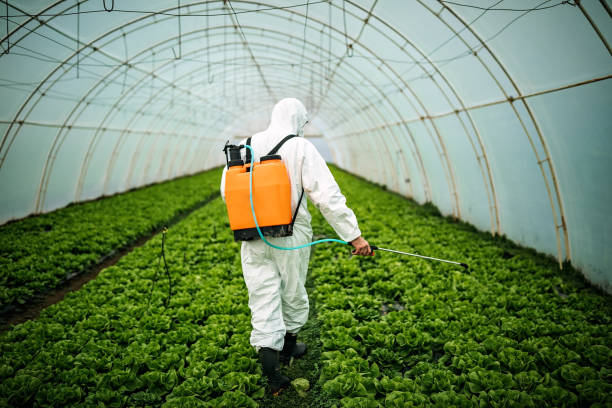 Best Mosquito Control Services  in Winnfield, LA
