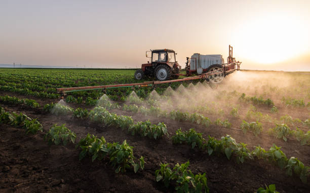 Professional Pest Control in Winnfield, LA
