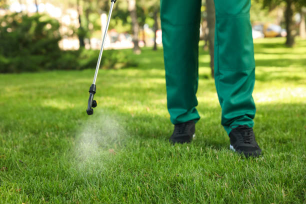 Best Flea Control Services  in Winnfield, LA