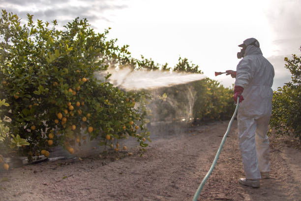 Best Pest Removal Services  in Winnfield, LA