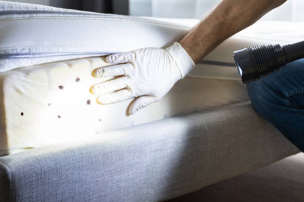 Best Pest Control Near Me  in Winnfield, LA