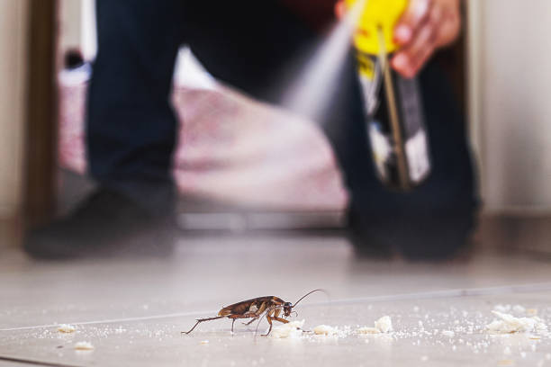 Professional Pest Control in Winnfield, LA