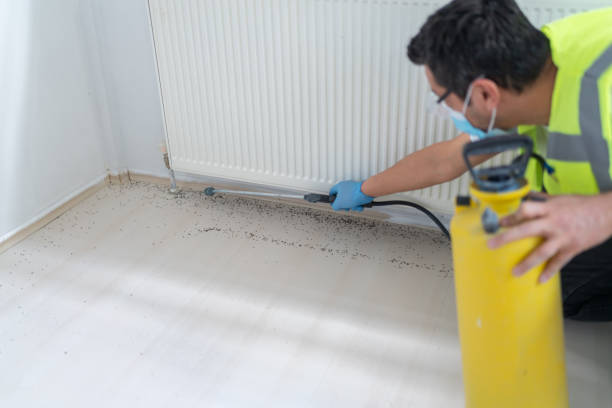 Best Residential Pest Control  in Winnfield, LA